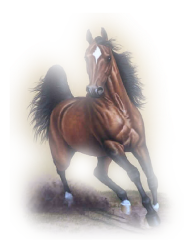 vadlo_340.png