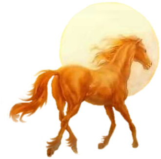 vadlo_343.png