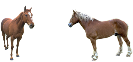 vadlo_345.png