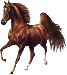 vadlo_353.png