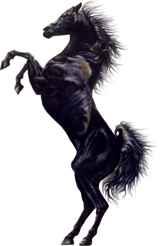 vadlo_356.png