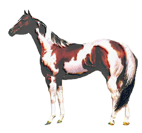 vadlo_358.png