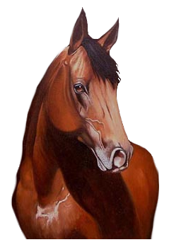 vadlo_359.png