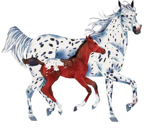 vadlo_367.png