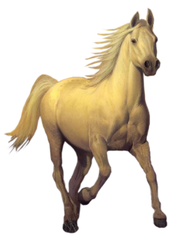 vadlo_370.png