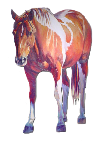 vadlo_371.png