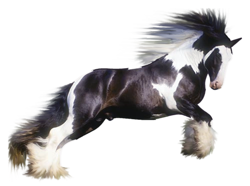 vadlo_377.png