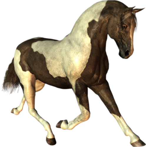 vadlo_378.png