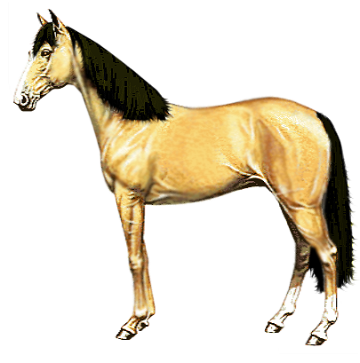 vadlo_387.png