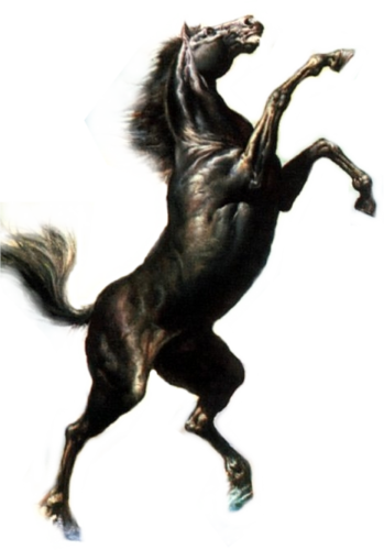 vadlo_388.png