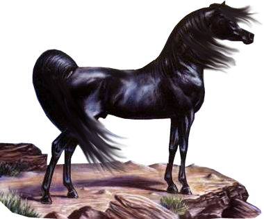 vadlo_389.png