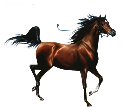 vadlo_395.png