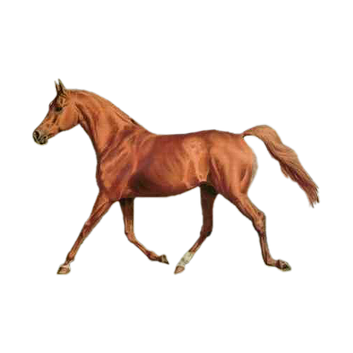 vadlo_398.png
