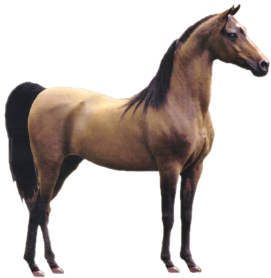 vadlo_399.png