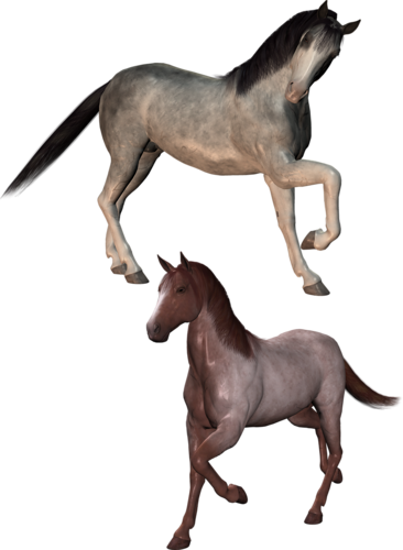 vadlo_415.png