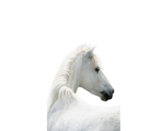 vadlo_422.png