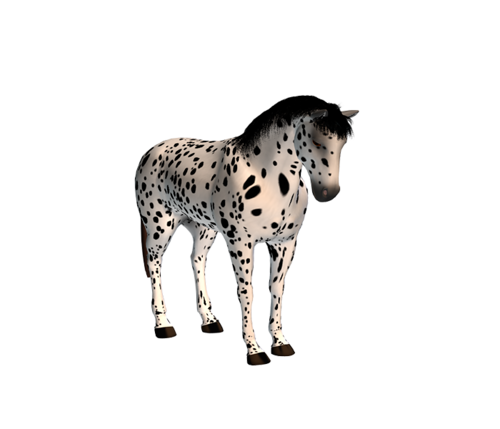 vadlo_429.png