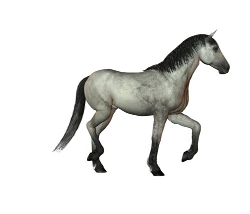 vadlo_430.png