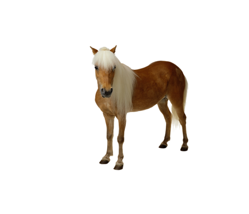 vadlo_432.png