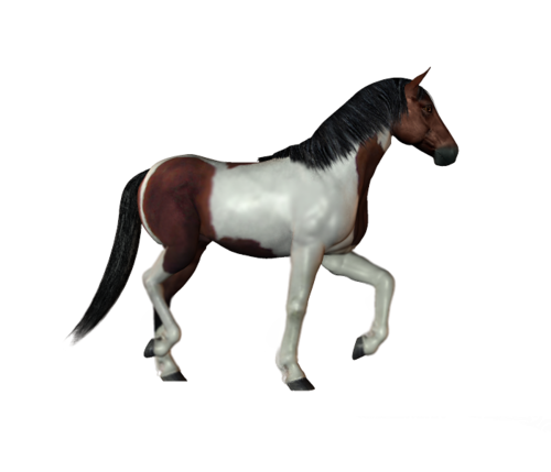vadlo_433.png