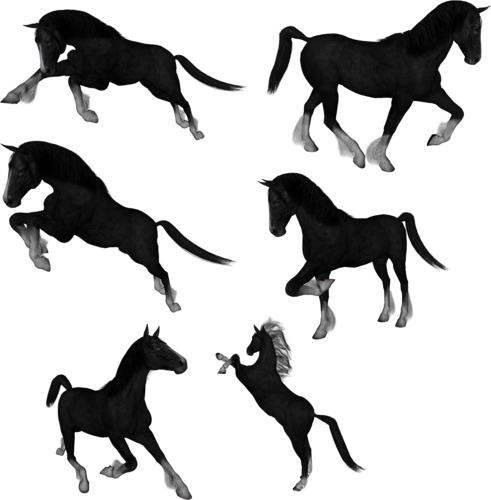 vadlo_489.png