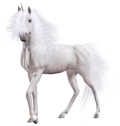 vadlo_520.png