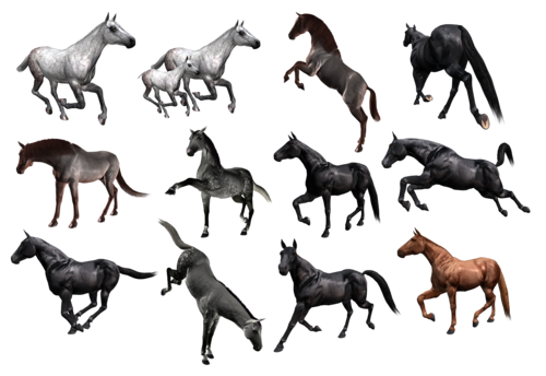 vadlo_562.png