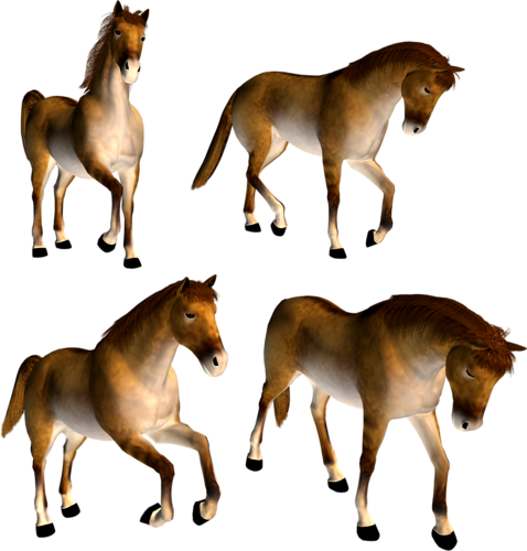 vadlo_575.png