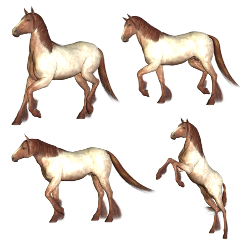 vadlo_583.png