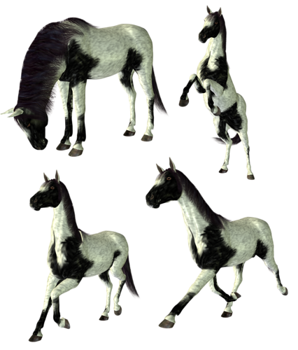 vadlo_585.png