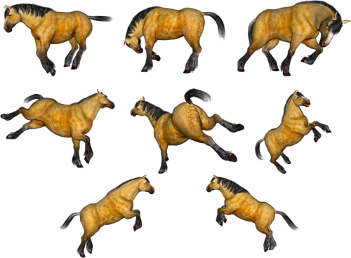 vadlo_589.png