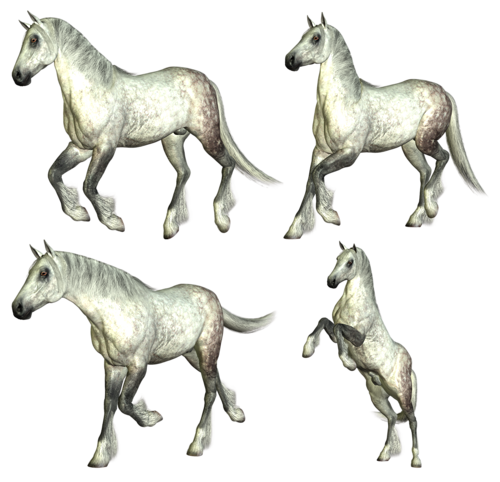 vadlo_591.png