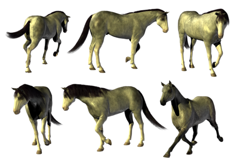 vadlo_592.png
