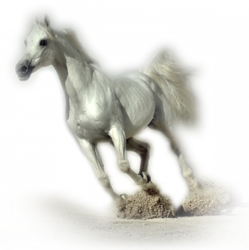 vadlo_6.png