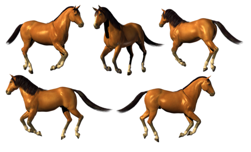 vadlo_606.png