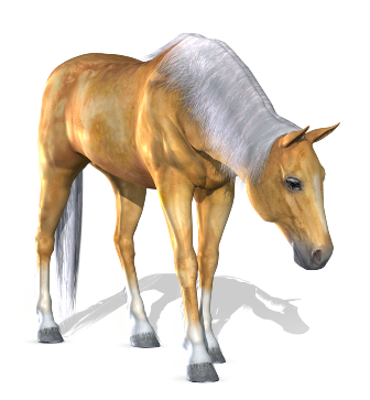 vadlo_627.png