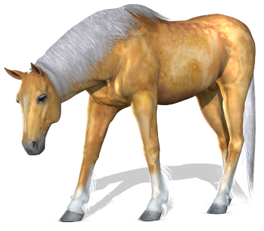 vadlo_633.png