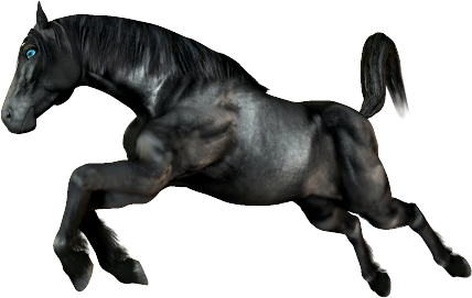 vadlo_634.png