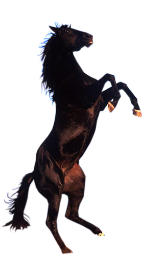 vadlo_660.png