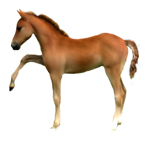 vadlo_670.png