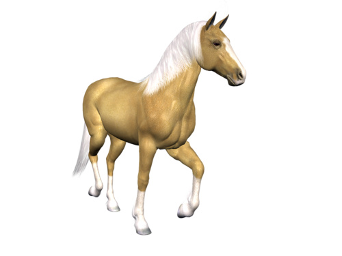 vadlo_674.png