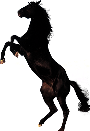 vadlo_680.png