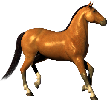 vadlo_684.png
