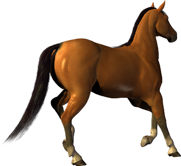 vadlo_685.png