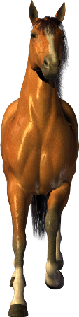 vadlo_687.png