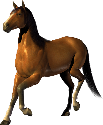 vadlo_692.png