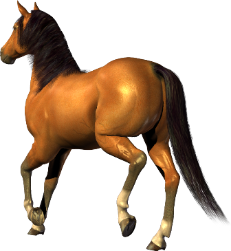 vadlo_695.png