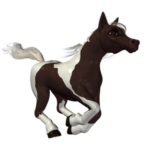 vadlo_711.png