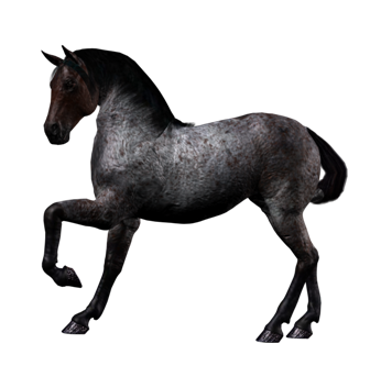 vadlo_718.png