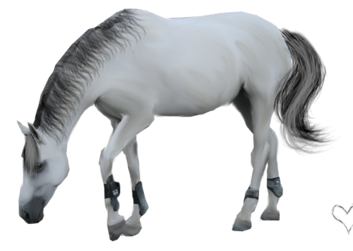 vadlo_730.png